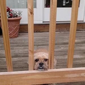 Meet your Posher, Joseph